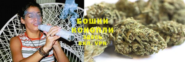 дмт Переславль-Залесский