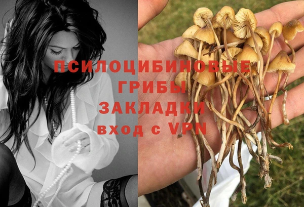 гашиш Володарск