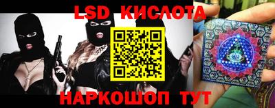 мдпв Кингисепп