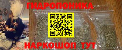 мдпв Кингисепп