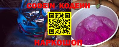 мдпв Кингисепп