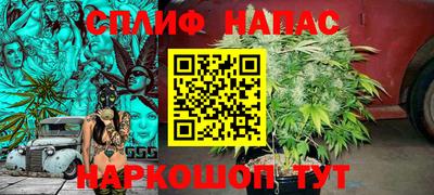 индика Конаково