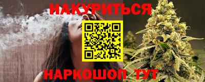 мдпв Кингисепп