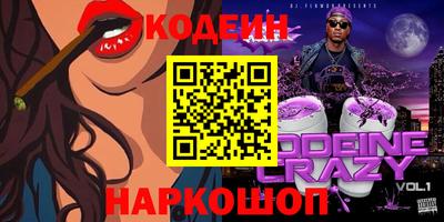 мдпв Кингисепп