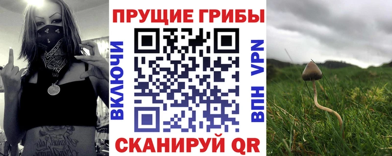 продажа наркотиков  Ноябрьск  Псилоцибиновые грибы ЛСД 