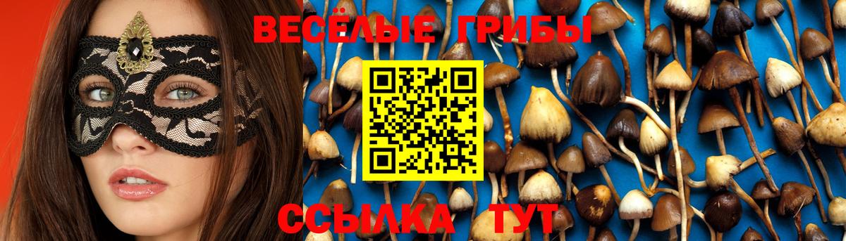 Ноябрьск  Псилоцибиновые грибы мухоморы  Вход с VPN 