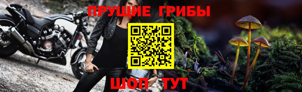 Псилоцибиновые грибы мицелий Ноябрьск